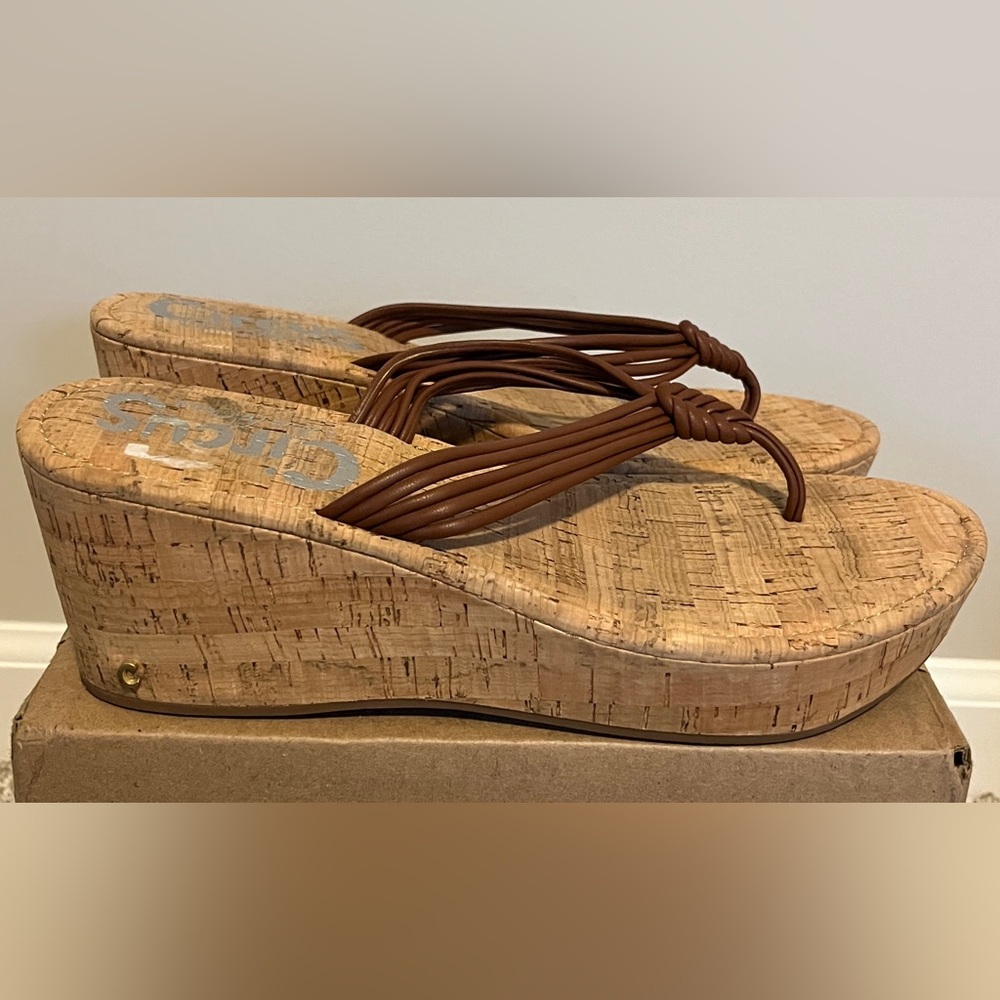 Sam Edelman Circus Wedge Flip Flop Sandal Size 9.5M